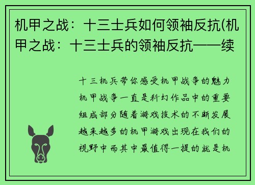机甲之战：十三士兵如何领袖反抗(机甲之战：十三士兵的领袖反抗——续写)